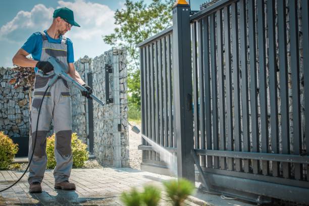 Best Gutter Cleaning  in Brundidge, AL