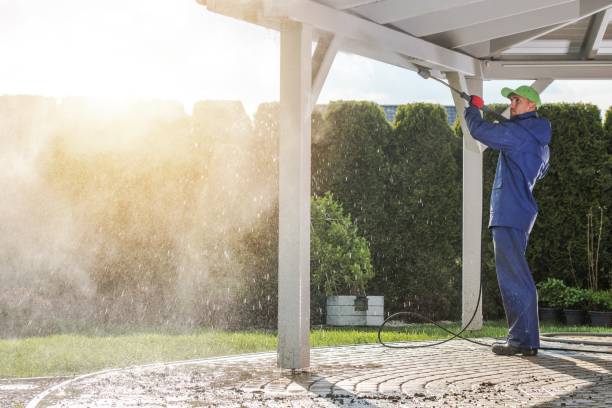 Best Rust Removal  in Brundidge, AL
