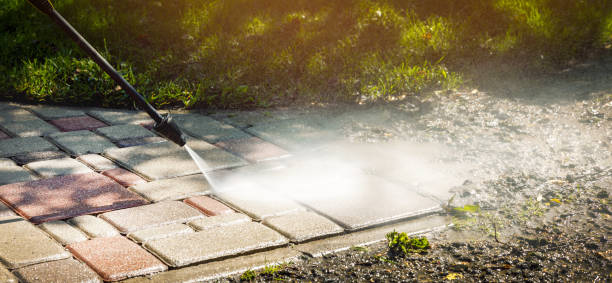 Best Pre-Holiday Cleaning  in Brundidge, AL